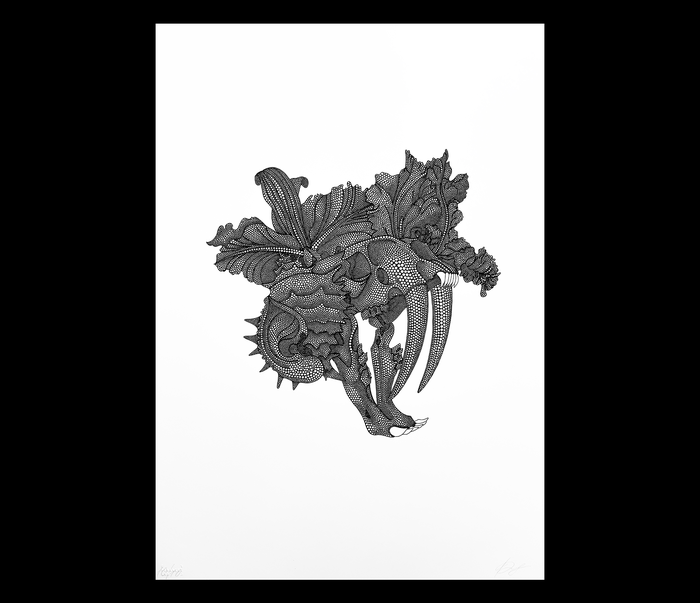 Черно-белые сны 