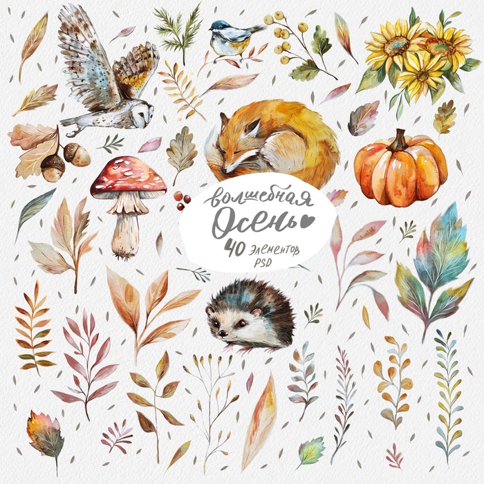 Осень в лесу. 40 элементов на прозрачном фоне