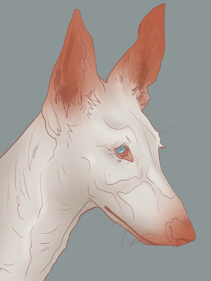 Глубина взгляда