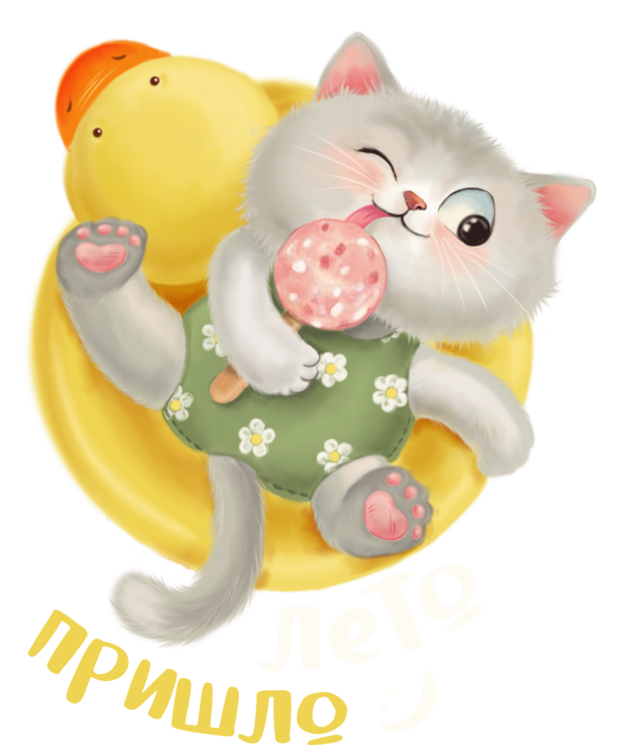 котик на море 