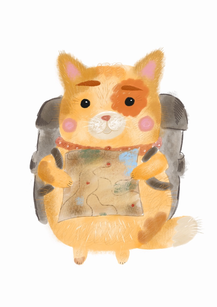 Кот-путешественник