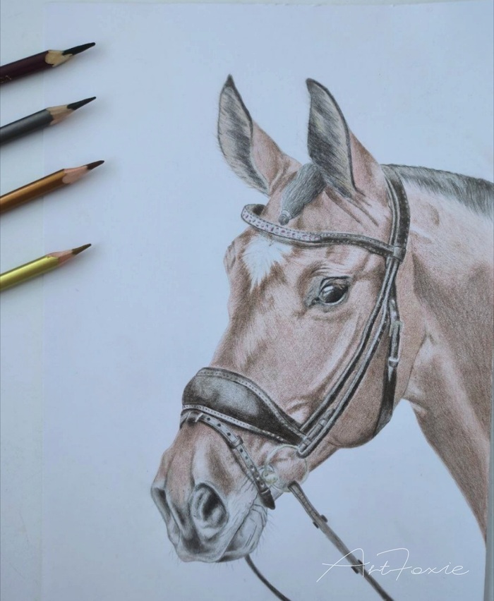 Символ года 