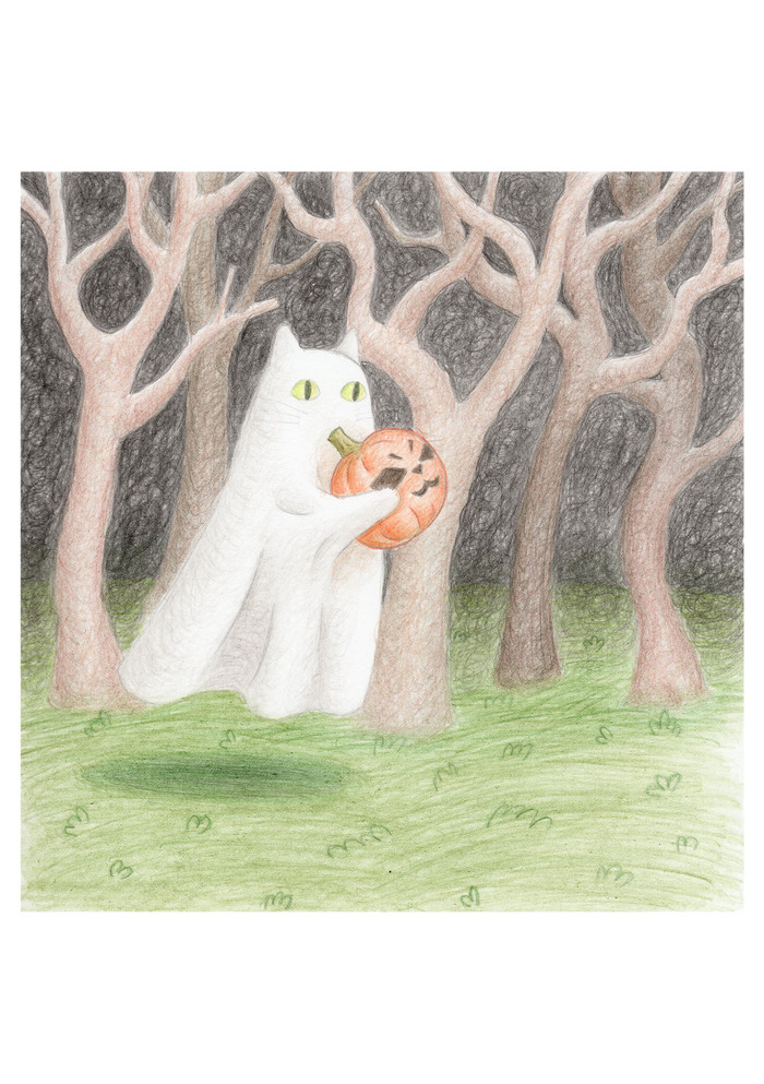 открытка кот призрак