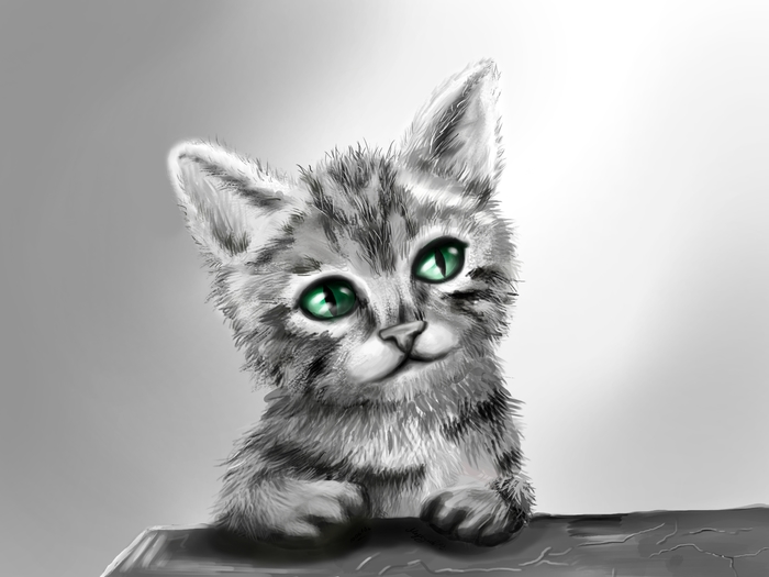 Котёнок за столом