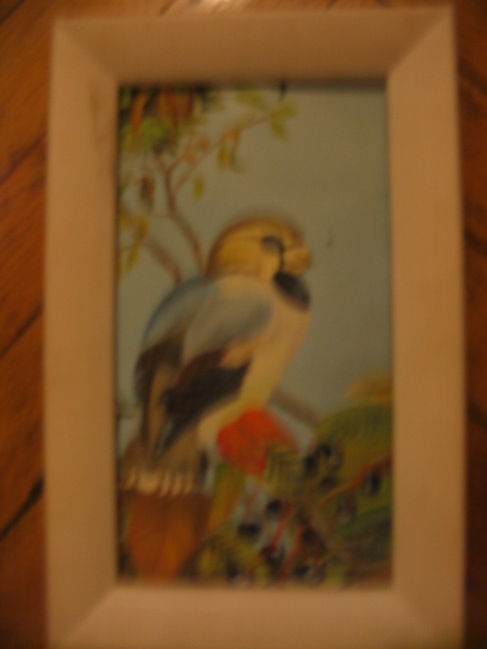 В экзотическом саду