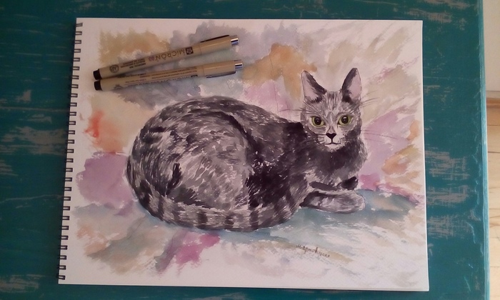 Русская голубая, формат примерно А3