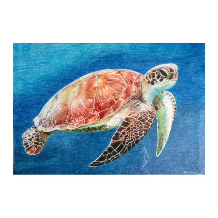 Морская черепаха бисса