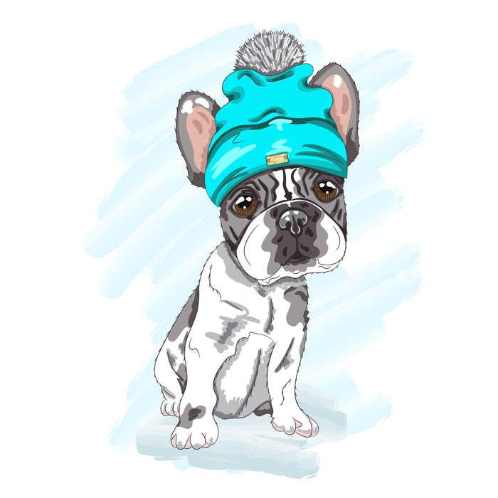 Собака в шапке