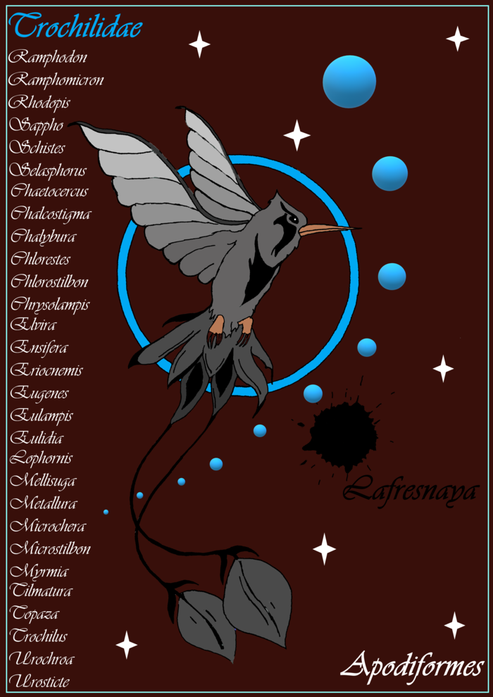 Trochilidae