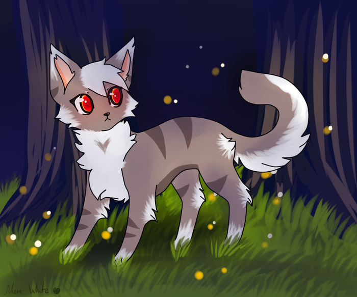 Котёнок в ночи