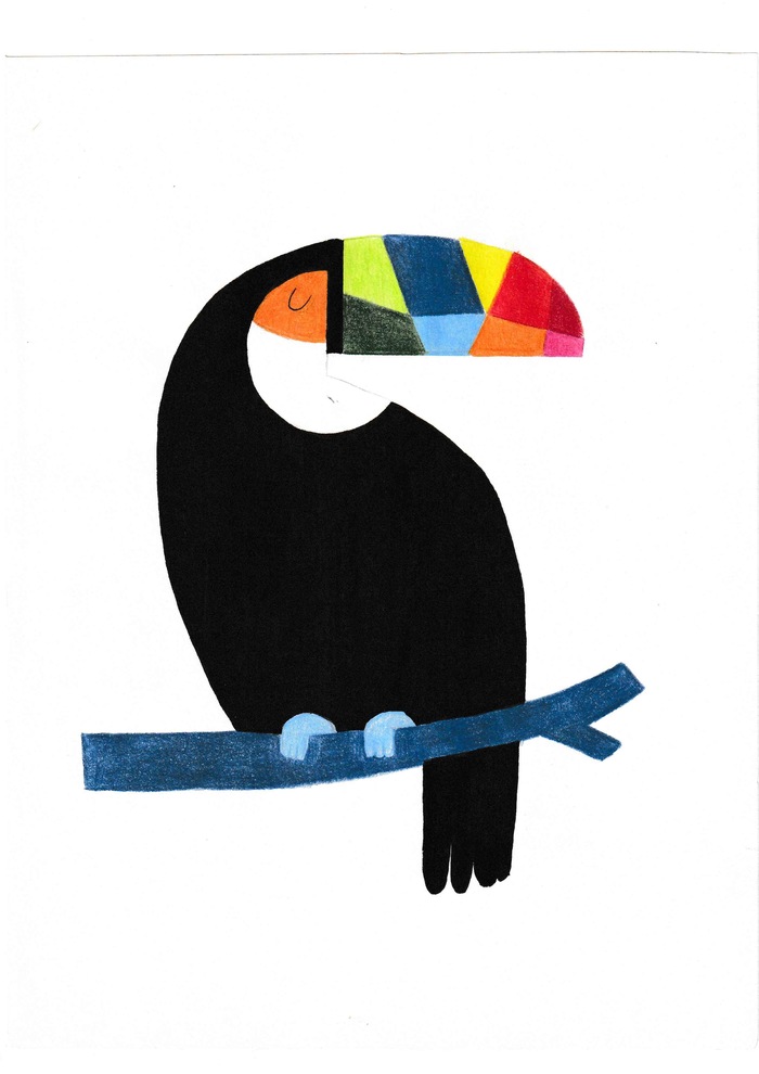 Птица Тукан