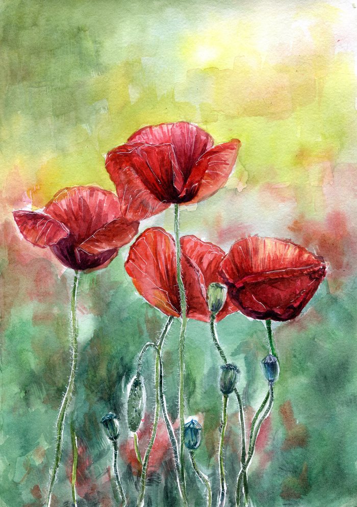 Картина Маки, акварель