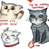 Стикеры "Котики"