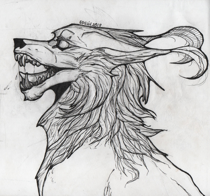 Взбудораженный волк