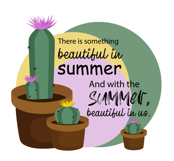 Цветущие кактусы