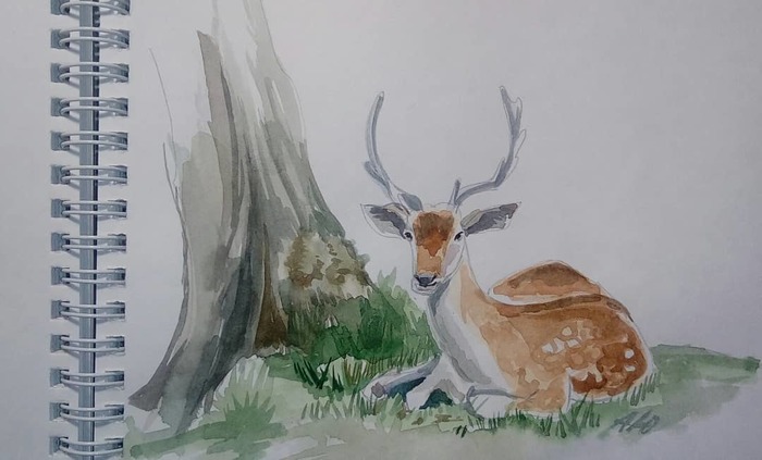 Олень в лесу