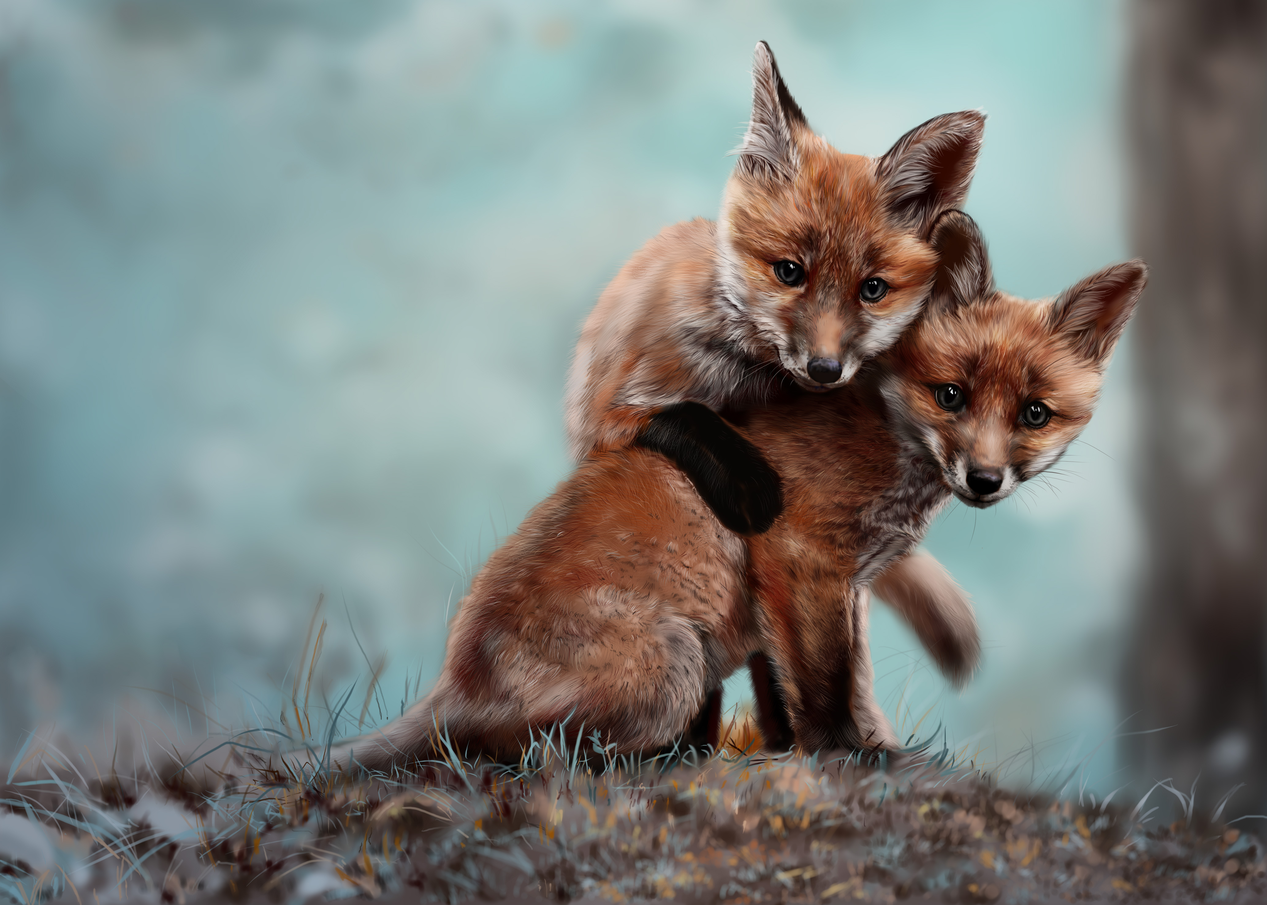 The fox and two babies. Природа и животные. Лиса. Лисята. Милые лисята.