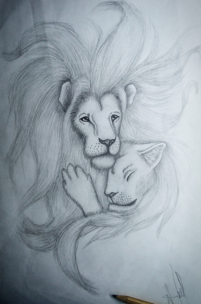 Львиная ласка