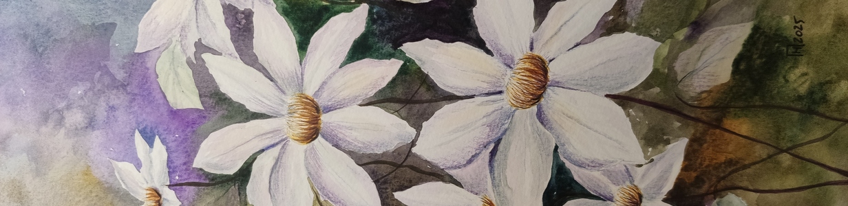 Main img 20250620 201612