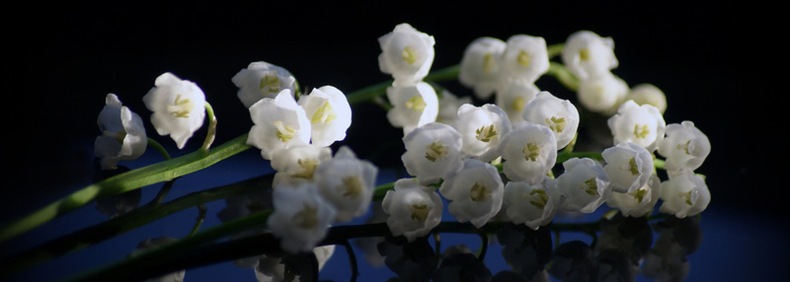 Main 0 7a6eb cf0afa19 xl