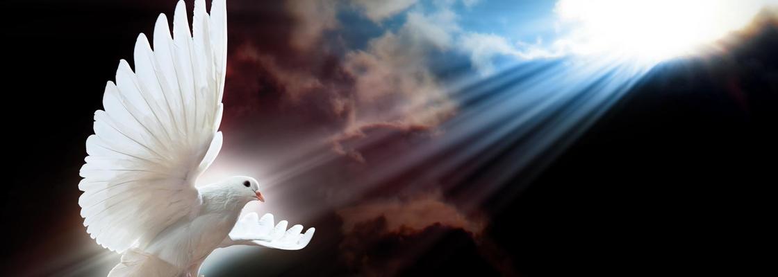 Main chip wallpapers  45 