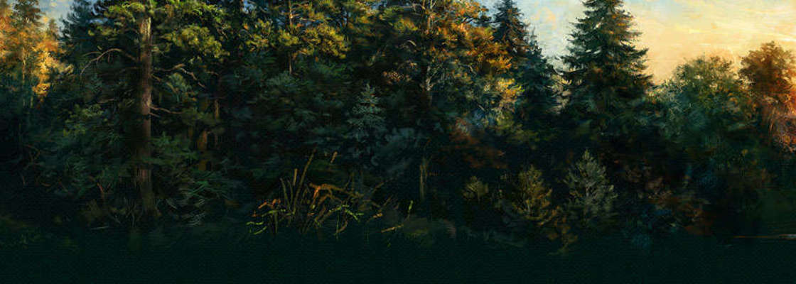 Main %d0%a2%d0%b5%d0%bc%d0%b0 %d0%be%d0%b4%d0%bd%d0%be%d0%ba%d0%bb%d0%b0%d1%81%d1%81%d0%bd%d0%b8%d0%ba%d0%be%d0%b2   %d0%9f%d0%a0%d0%98%d0%a0%d0%9e%d0%94%d0%90