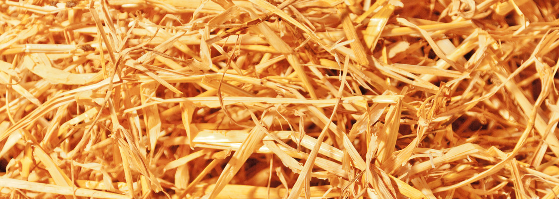 Main straw texture  1 