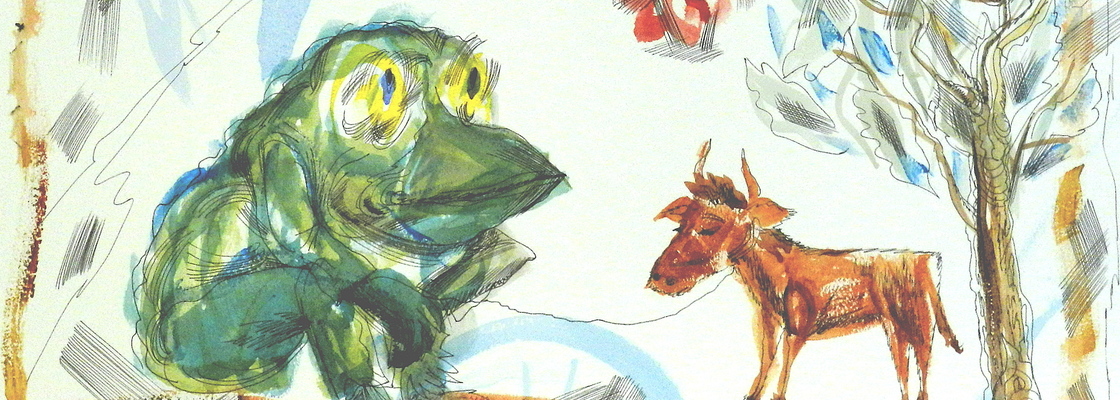 Main shepherd frog 1