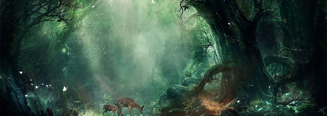 Main jungle fantasy deer butterflies night trees 102121 2560x1440