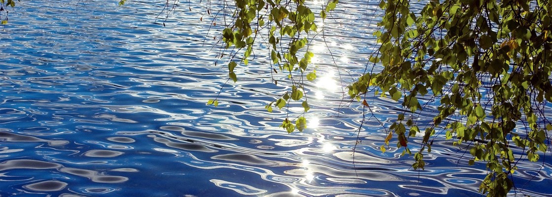 Main 1680 1050 20091110094406667954