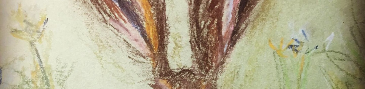 Main 388e714d 54bb 4237 b677 16963e18b5af