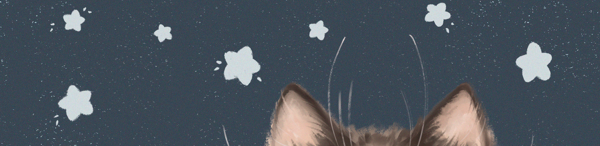 Main 22.12.21 %d0%be%d0%b1%d0%bb%d0%be%d0%b6%d0%ba%d0%b0 11 3