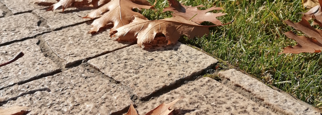 Main img 20211023 122456