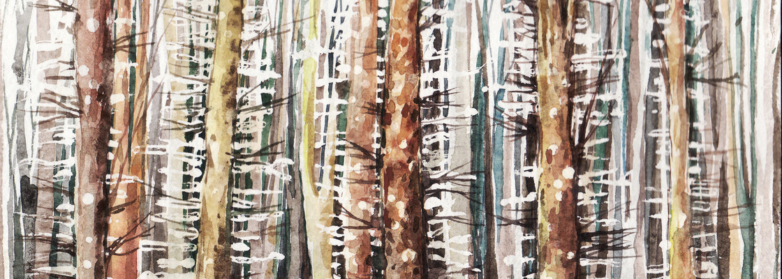 Main untitled 21 %d0%ba%d0%be%d0%bf%d0%b8%d1%8f