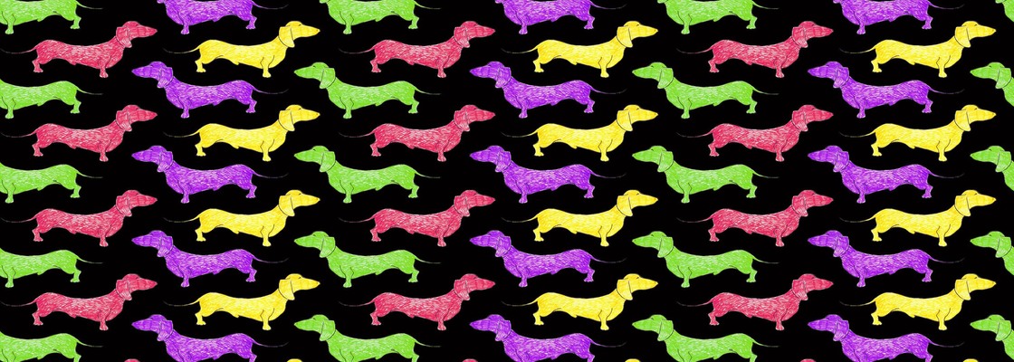 Main colorful dachshund pattern on a black backdrop