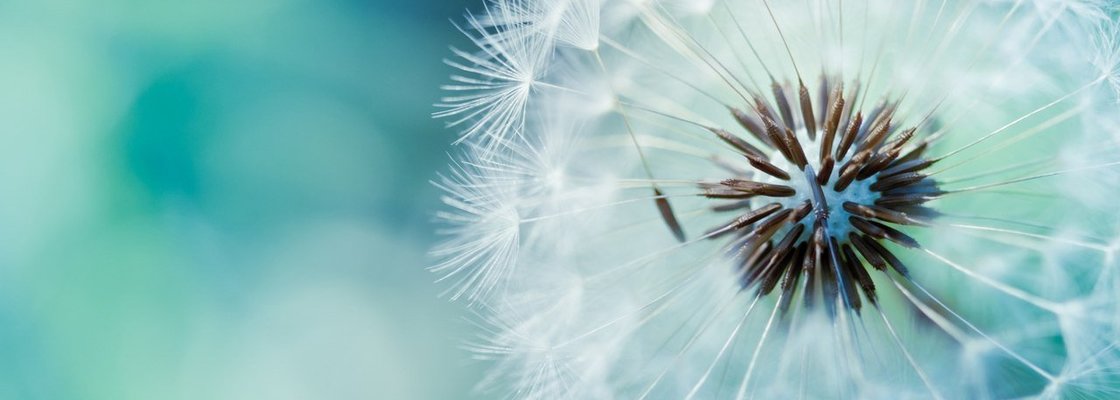 Main 1410621088 zfznbg3dg7y