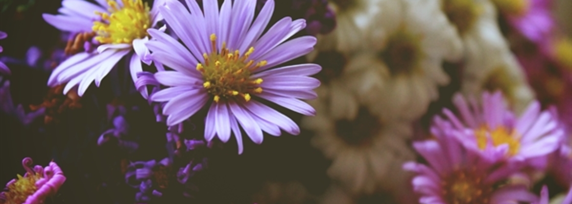 Main c83336801518451641802