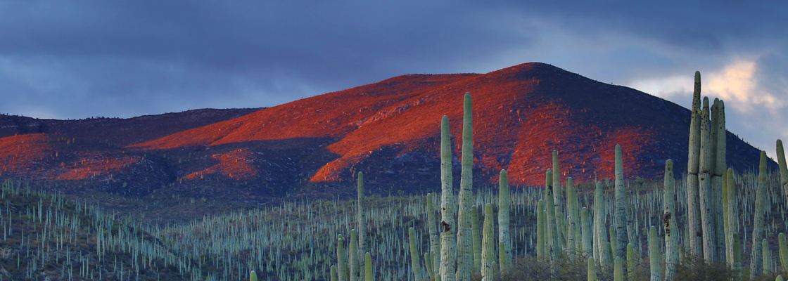 Main andres sanz 100047