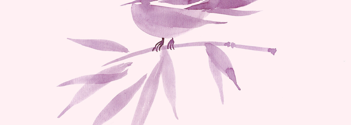 Main 704a0ce675ad435dbd27d92f342e5511