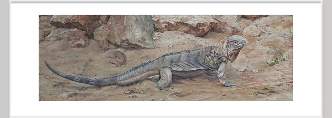 Main %d0%98%d0%b3%d1%83%d0%b0%d0%bd%d0%b0 25%d1%8570%d1%81%d0%bc %d0%bf%d0%b0%d1%81%d1%82%d0%b5%d0%bb%d1%8c