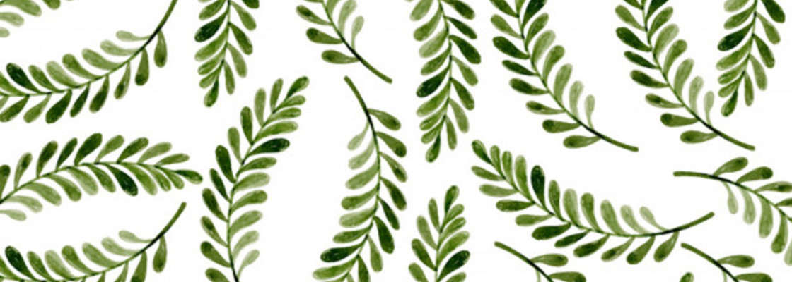 Main no translate detected 1340 1967