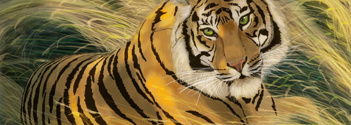 Main tiger