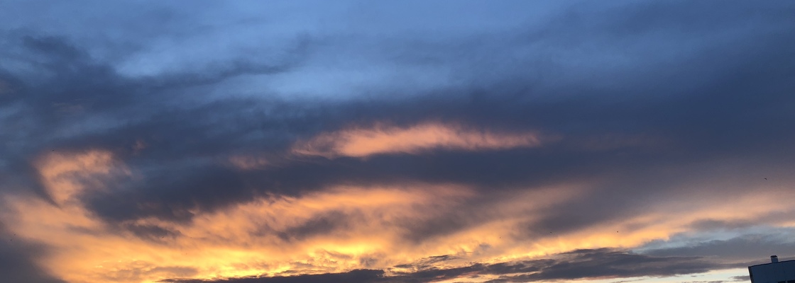 Main 54e77dcb 854e 4fff b118 c8d6818e1ede