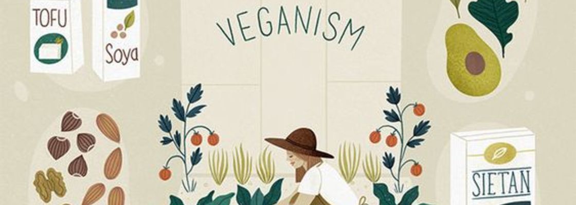 Main 505008372f500c3cdb84a8da02da4302