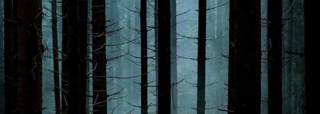 Main b7e96c2b 2b54 4da2 bcec a4cd84e4a760