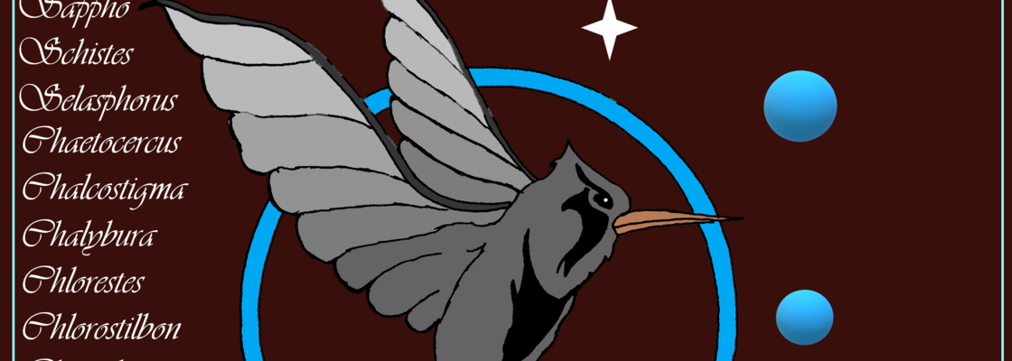 Main %d0%ba%d0%be%d0%bb%d0%b8%d0%b1%d1%80%d0%b8   %d0%ba%d0%be%d0%bf%d0%b8%d1%8f