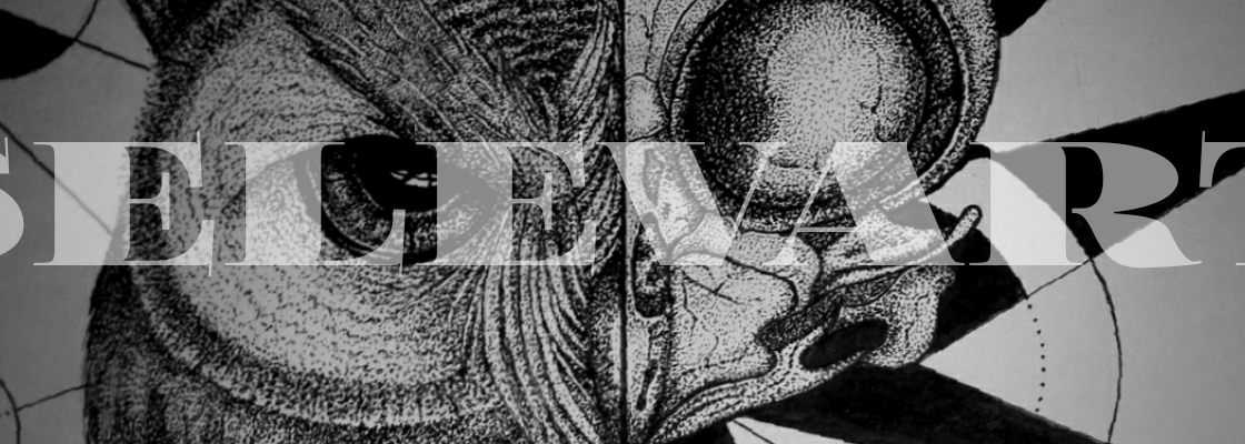 Main 20190220 175351 0001