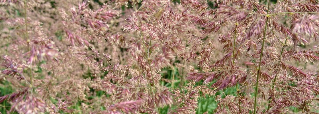 Main img 20180708 200828 964