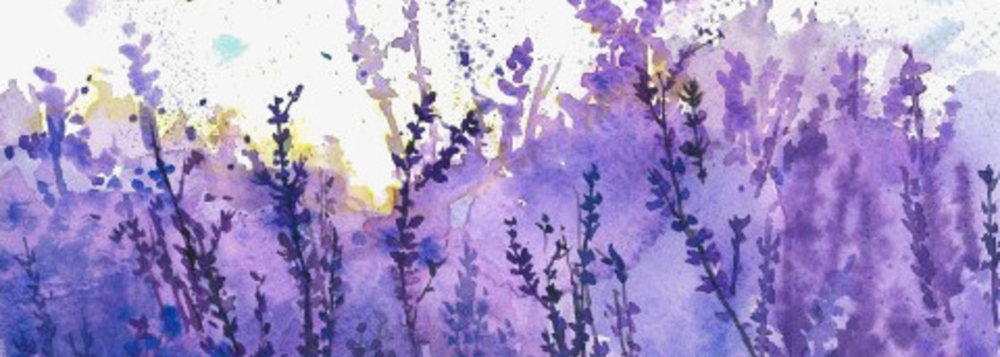 Main 04d886f51ec805f1e550292f861f14c0