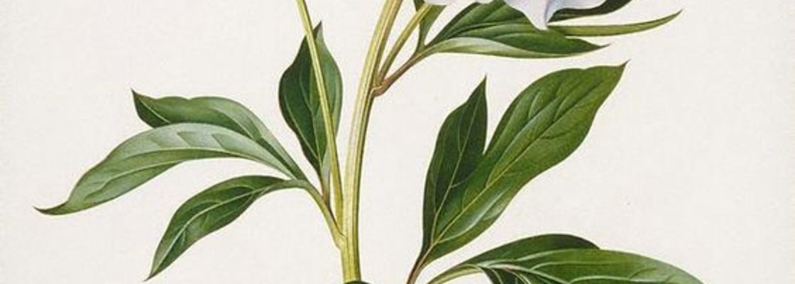 Main ebe97ada6b85964f68b8748504c14a83